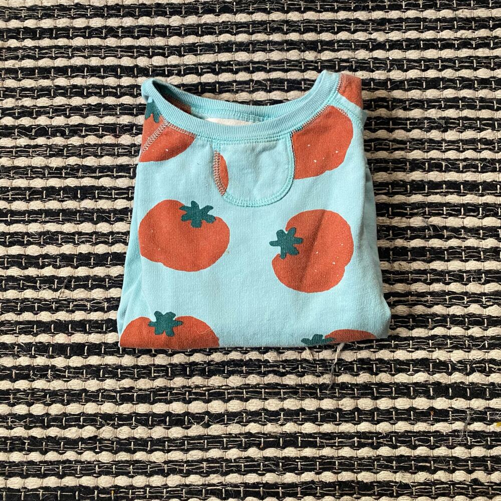 🌿Nadadelazos Kids Blue Red Tomato Long Sleeve Sweatshirt 6/8Y